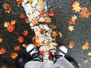 紅葉が落ちている道路